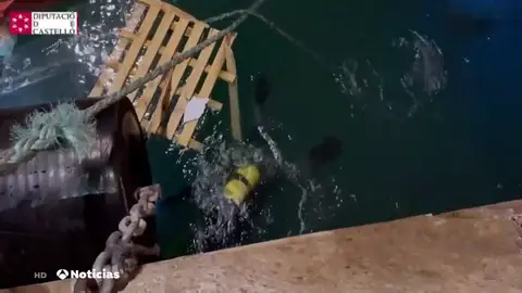 Encuentran el cuerpo de uno de los dos desaparecidos en el puerto de Castellón al volcar un barco Encuentran el cuerpo de uno de los dos desaparecidos en el puerto de Castellón al volcar un barco