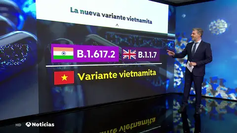 La peligrosa variante del coronavirus de Vietnam: híbrido entre la mutación india y la británica La peligrosa variante del coronavirus de Vietnam: híbrido entre la mutación india y la británica