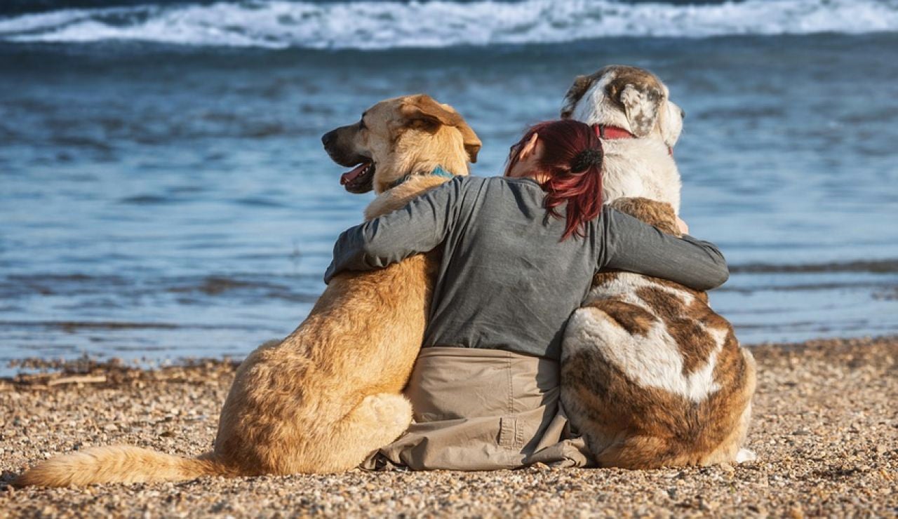 Playas que admiten perros en Murcia