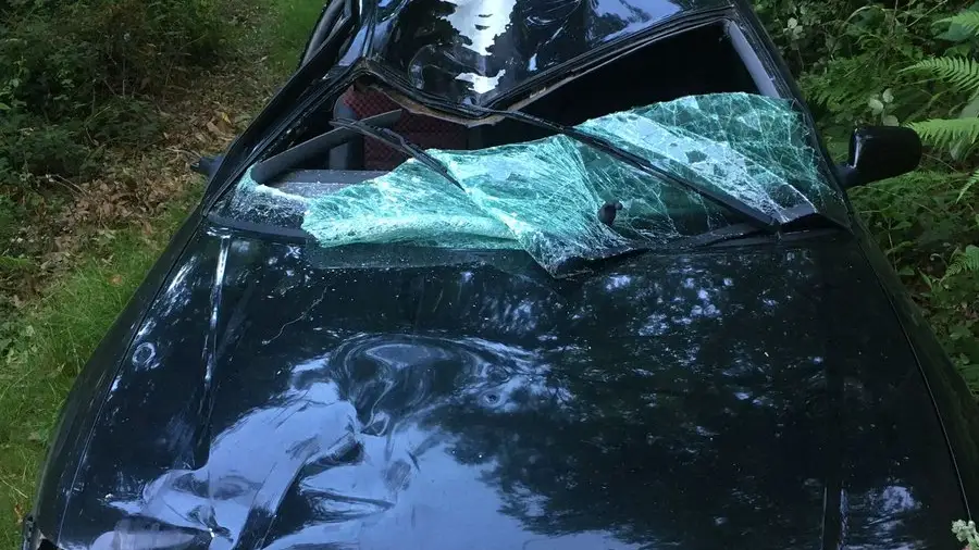 Detienen al autor de un atropello mortal a un ciclista en Navarra: mandó la bici a un árbol a 10 metros de altura Detienen al autor de un atropello mortal a un ciclista en Navarra: mandó la bici a un árbol a 10 metros de altura