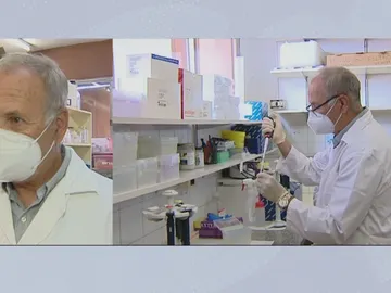 Se investiga el origen del coronavirus. Se investiga el origen del coronavirus.