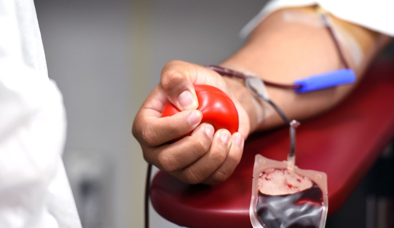 Día mundial del donante de sangre 2021: Requisitos para donar sangre y todo lo que necesitas saber Día mundial del donante de sangre 2021: Requisitos para donar sangre y todo lo que necesitas saber
