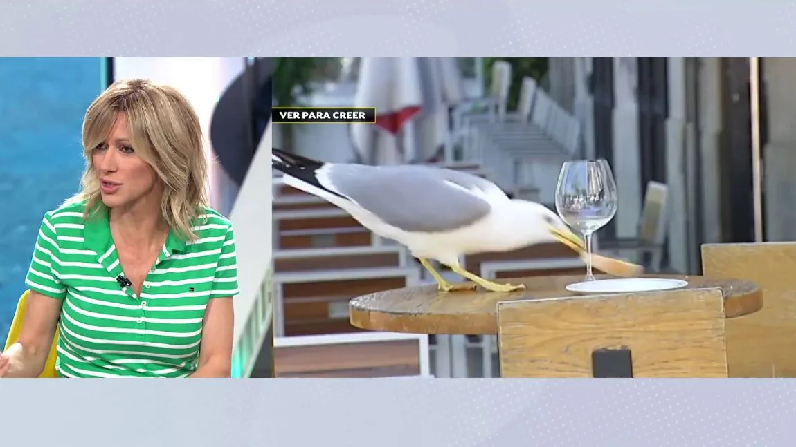 La an&eacute;cdota de Susanna Griso con las gaviotas.