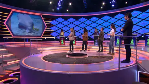 Alberto, en defensa del dugongo: “Habría que preguntarle a él qué opina de nosotros” Alberto, en defensa del dugongo: “Habría que preguntarle a él qué opina de nosotros”