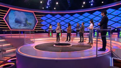 Alberto, en defensa del dugongo: “Habría que preguntarle a él qué opina de nosotros”