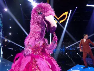 El Flamenco se despluma en el Duelo Final con ‘Yo x ti, tú x mí’ de Rosalía y Ozuna El Flamenco se despluma en el Duelo Final con ‘Yo x ti, tú x mí’ de Rosalía y Ozuna