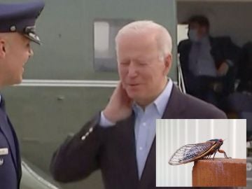 Joe Biden se ha bajado de su avión y ha sido atacado por una cigarra.