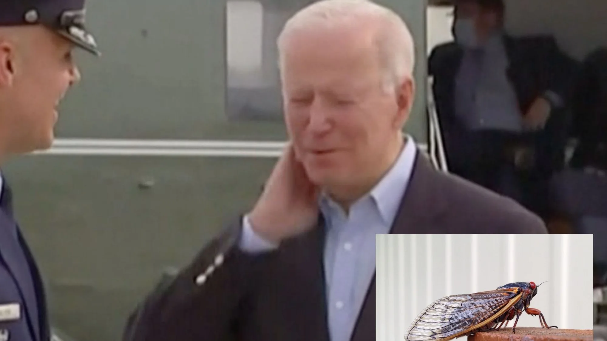 Joe Biden se ha bajado de su avi&oacute;n y ha sido atacado por una cigarra.