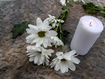 Anna y Olivia Anna y Olivia