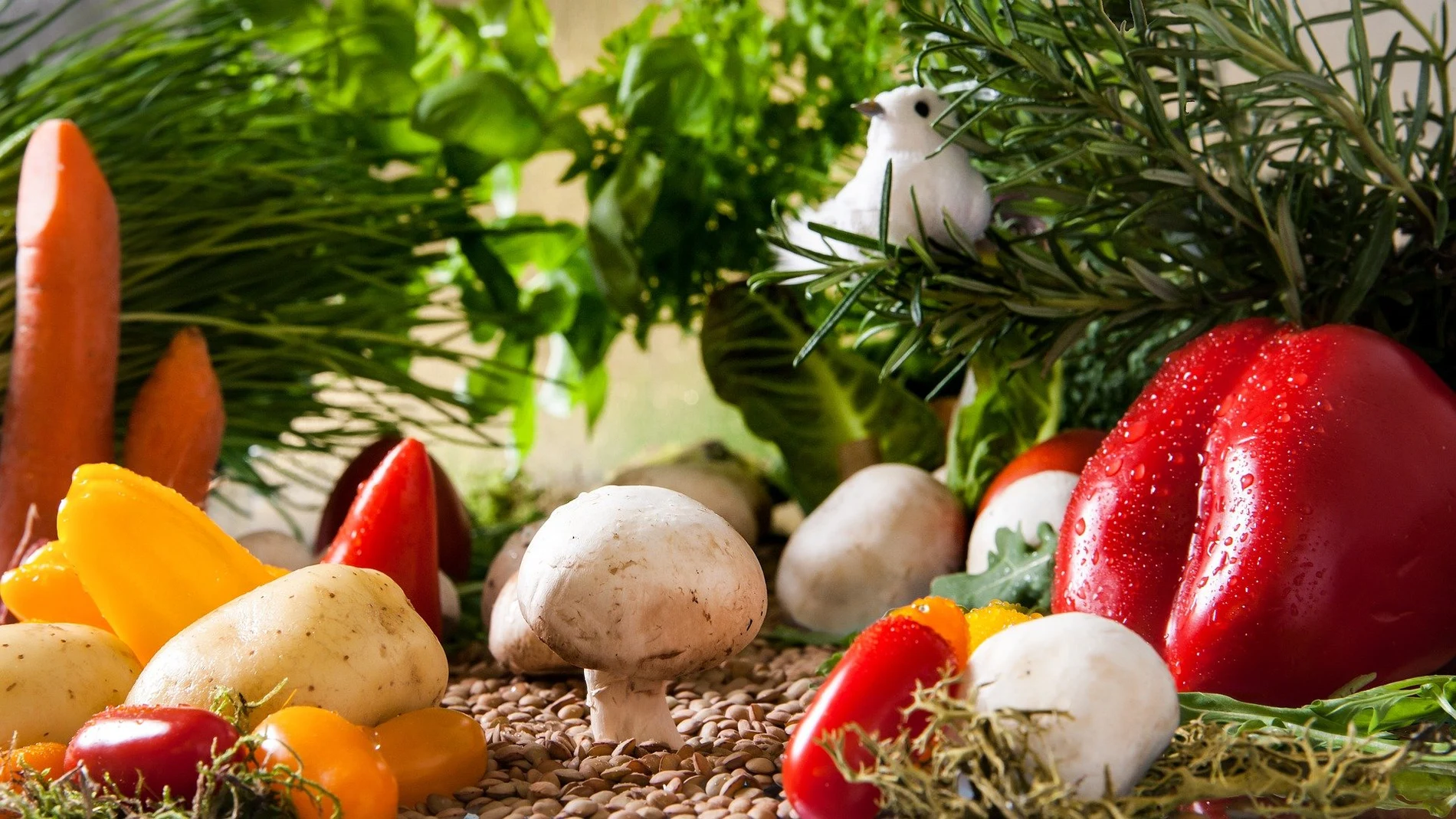 Día Mundial de las verduras frescas 2021: Beneficios y calendario de verduras de temporada
