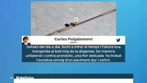 Puigdemont Puigdemont
