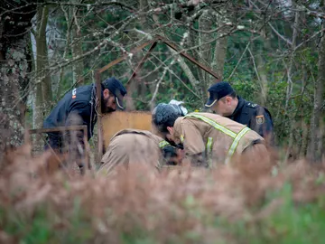 Búsqueda de Nerea Añel Búsqueda de Nerea Añel