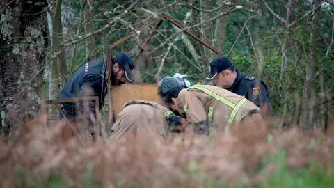 Búsqueda de Nerea Añel Búsqueda de Nerea Añel