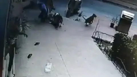 ataque de perro en Ceuta ataque de perro en Ceuta