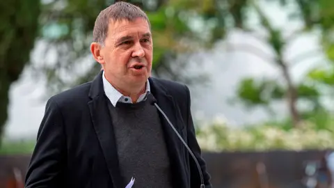 El coordinador de EH Bildu, Arnaldo Otegi El coordinador de EH Bildu, Arnaldo Otegi