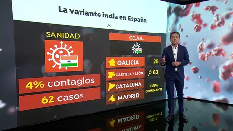 ¿Cómo avanza la variante delta del coronavirus en España? ¿Cómo avanza la variante delta del coronavirus en España?