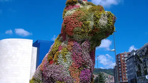 'Puppy', la mítica escultura del Museo Guggenheim de Bilbao, necesita reparación. 'Puppy', la mítica escultura del Museo Guggenheim de Bilbao, necesita reparación.