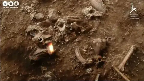Homo hallado en Israel Homo hallado en Israel