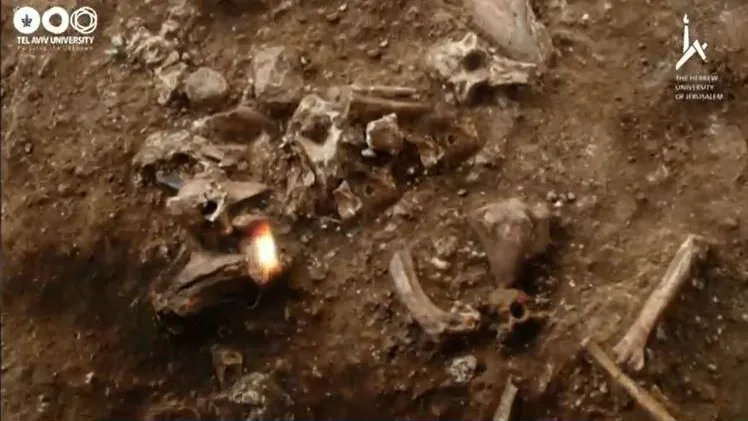 Homo hallado en Israel
