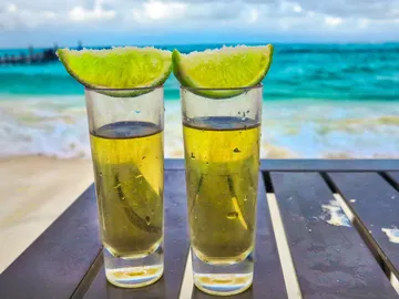 ¿De dónde sale el tequila y cuál es la mejor forma de tomarlo? ¿De dónde sale el tequila y cuál es la mejor forma de tomarlo?