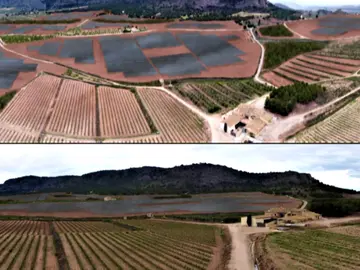 Agricultores de Cádiz y Alicante denuncian la expropiación de sus terrenos para instalar placas solares Agricultores de Cádiz y Alicante denuncian la expropiación de sus terrenos para instalar placas solares