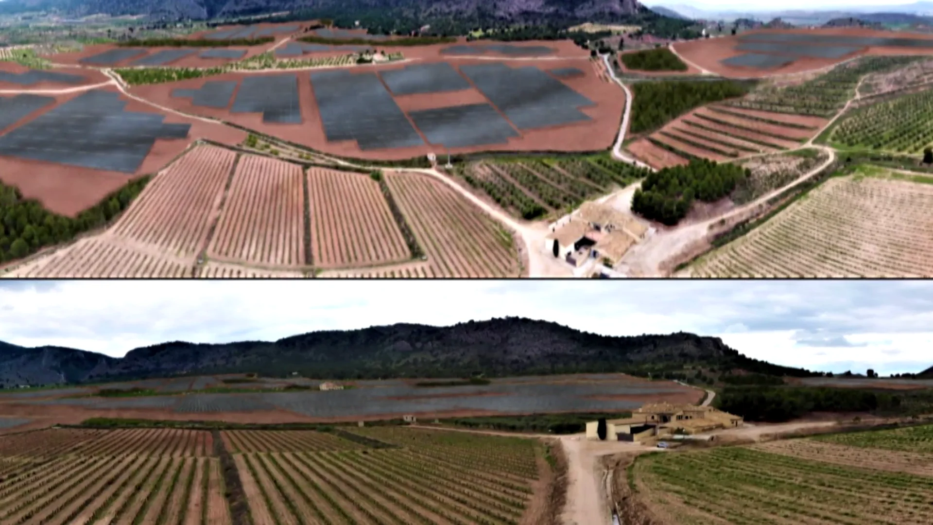 Agricultores de Cádiz y Alicante denuncian la expropiación de sus terrenos para instalar placas solares Agricultores de Cádiz y Alicante denuncian la expropiación de sus terrenos para instalar placas solares