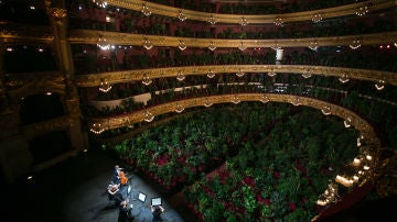 Concierto en el Gran Teatre del Liceu de Barcelona con más de dos mil plantas como únicos espectadores tras la finalización del estado de alarma declarado para controlar la pandemia. Las plantas utilizadas en la creación artística, serán donadas a los sanitarios del Hospital Clinic de Barcelona, 22 de junio, 2020. ( © Albert García) 