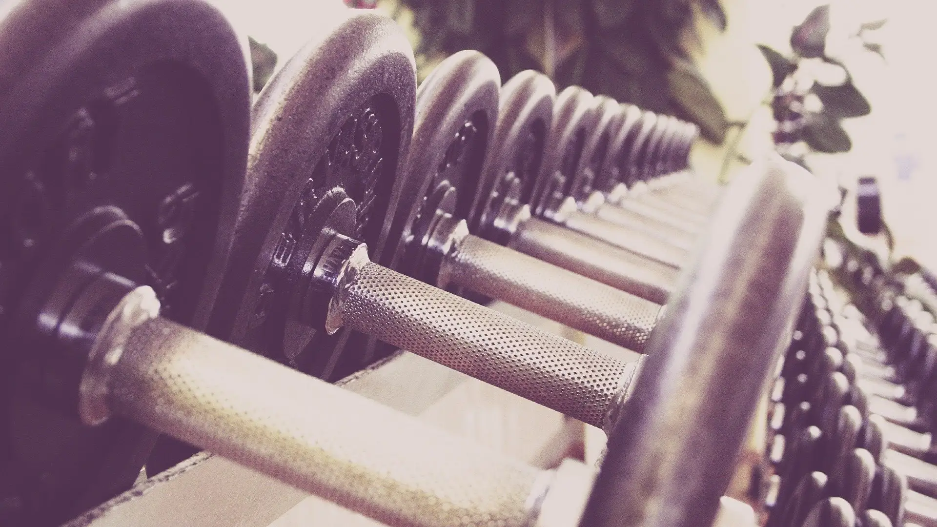 Pesas de un gimnasio Pesas de un gimnasio