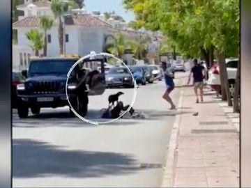 Una mujer intenta atracar armada con un cuchillo a un hombre de 80 años en Marbella.