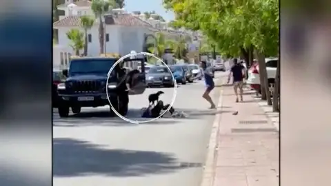 Una mujer intenta atracar armada con un cuchillo a un hombre de 80 años en Marbella. Una mujer intenta atracar armada con un cuchillo a un hombre de 80 años en Marbella.