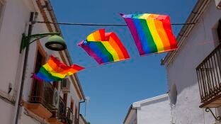 Bandera LGBTI