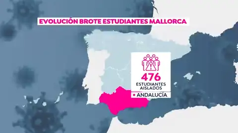 El mapa de contagio del macrobrote de coronavirus de Mallorca El mapa de contagio del macrobrote de coronavirus de Mallorca