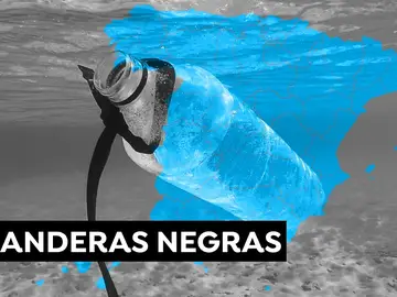 Andalucía es la comunidad con más banderas negras en sus playas 