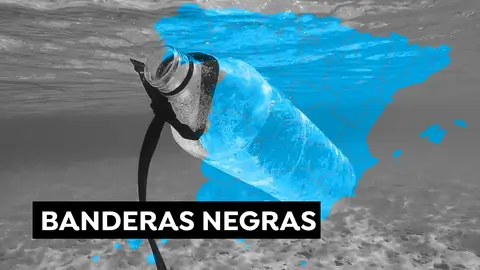 Andalucía es la comunidad con más banderas negras en sus playas Andalucía es la comunidad con más banderas negras en sus playas