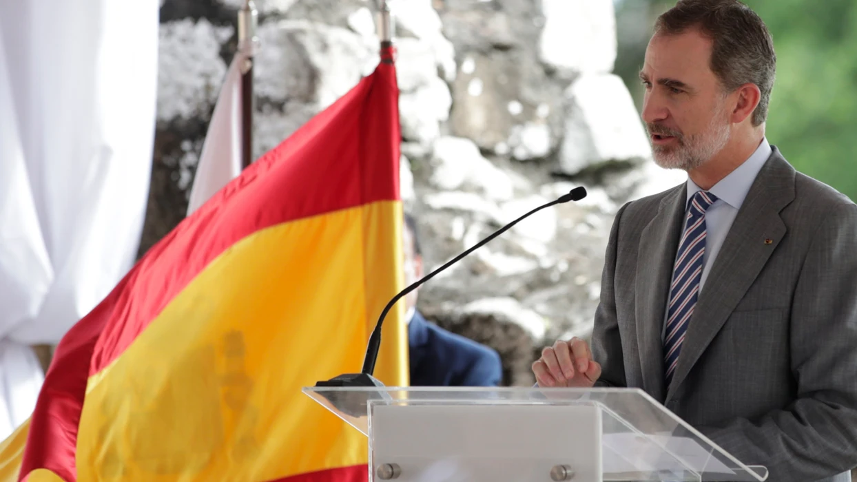 Imagen del rey Felipe VI. Rey Felipe VI (imagen de archivo)