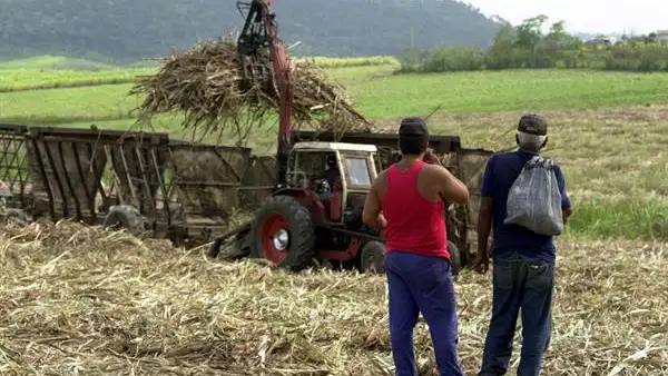 Hoy se celebra el D&iacute;a Internacional de la Conservaci&oacute;n del Suelo