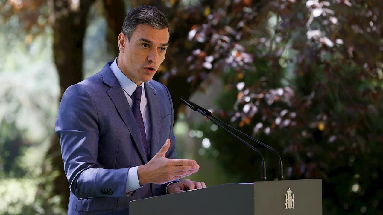 El presidente del Gobierno espa&ntilde;ol, Pedro S&aacute;nchez
