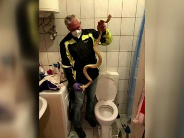 Un hombre recibe un mordisco de una serpiente