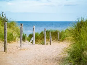 Imagen de una playa. Imagen de una playa.