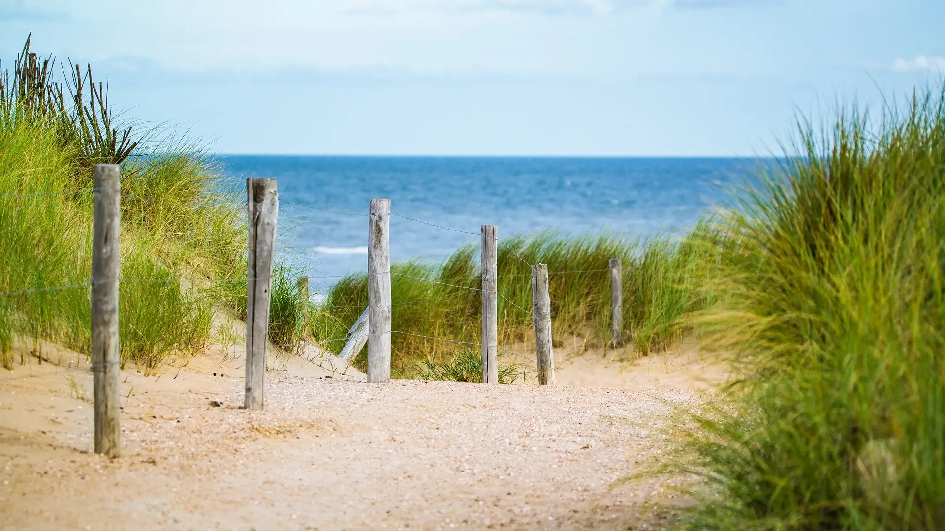 Imagen de una playa.