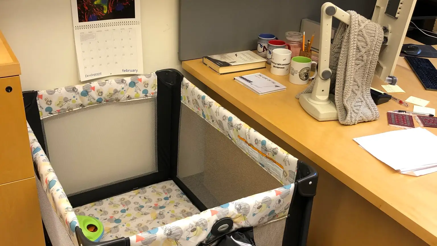 Un profesor pone una cuna en la universidad para que una madre primeriza no abandone sus estudios Un profesor pone una cuna en la universidad para que una madre primeriza no abandone sus estudios