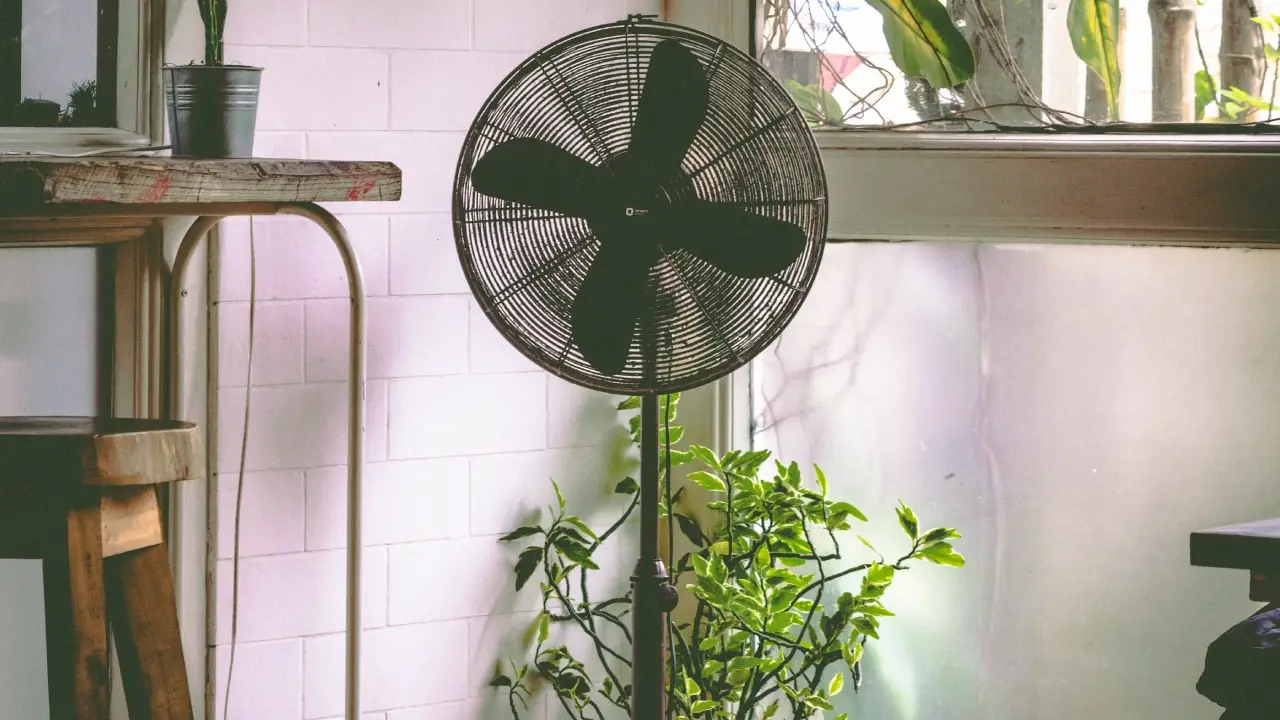 Ola de calor España: Cómo mantener la casa fresca Ola de calor España: Cómo mantener la casa fresca