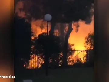 Un menor de 15 años provoca un incendio que arrasa con más de 8.000 metros cuadrados Un menor de 15 años provoca un incendio que arrasa con más de 8.000 metros cuadrados