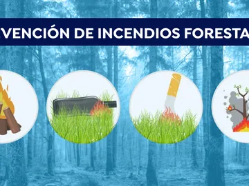 ¿Qué hacer y cómo actuar en caso de encontrarnos con un incendio forestal? ¿Qué hacer y cómo actuar en caso de encontrarnos con un incendio forestal?