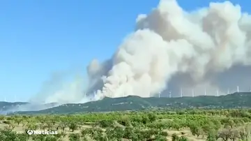 La Rioja pide ayuda a la UME por un incendio que ha quemado 200 hectáreas del monte de Yerma