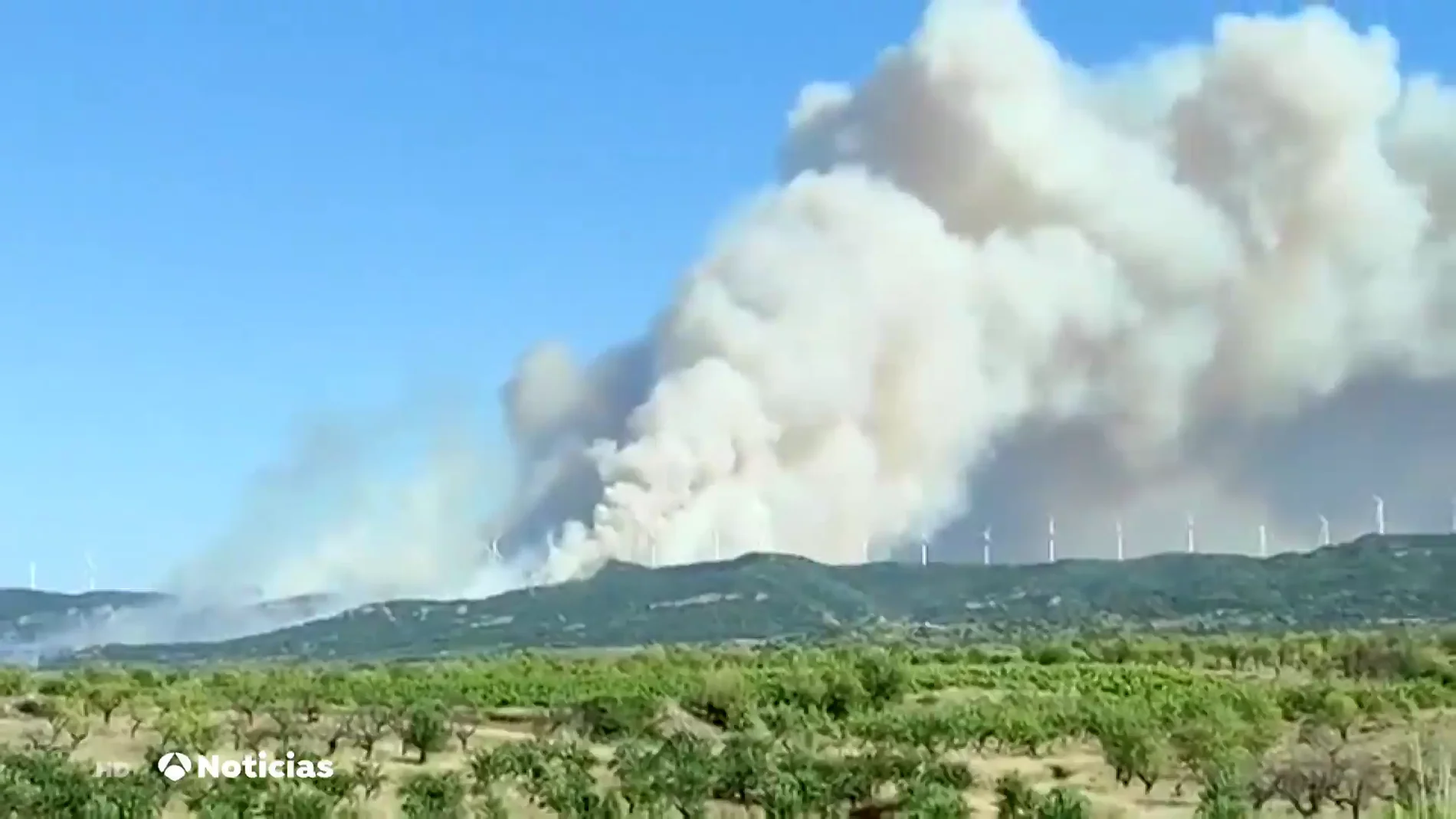 La Rioja pide ayuda a la UME por un incendio que ha quemado 200 hectáreas del monte de Yerma