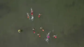 lago lago