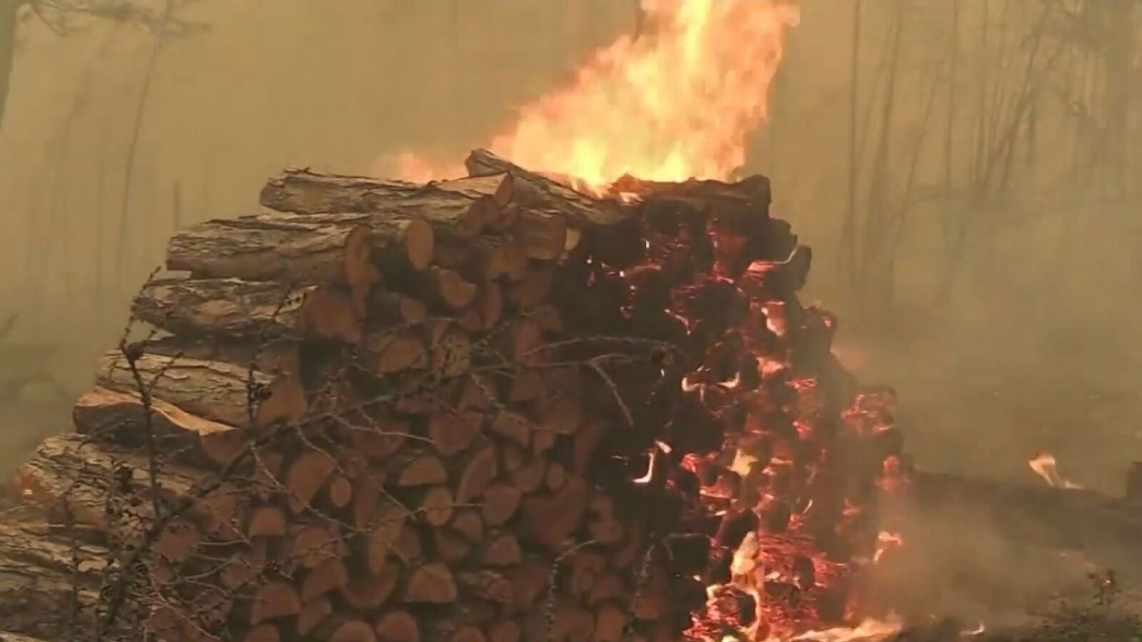 Los incendios forestales en Siberia arrasan ya más de 1,7 millones de hectáreas
