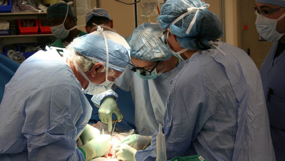 El Hospital Gregorio Marañón crea un tratamiento pionero que podría evitar el rechazo de trasplante de órganos