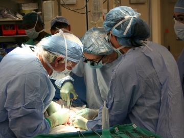 El Hospital Gregorio Marañón crea un tratamiento pionero que podría evitar el rechazo de trasplante de órganos